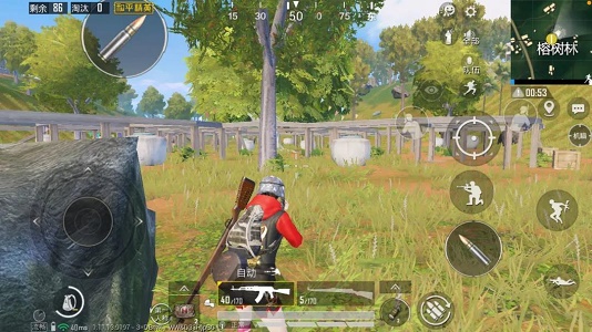 答题福利大更新动动手指就能领永久套装在雨林打野攻略中哪处位置位于地图中心