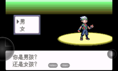 口袋妖怪迷失夜6截图1