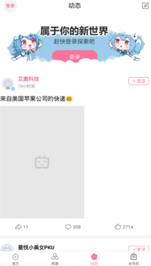 哔哩哔哩定制版