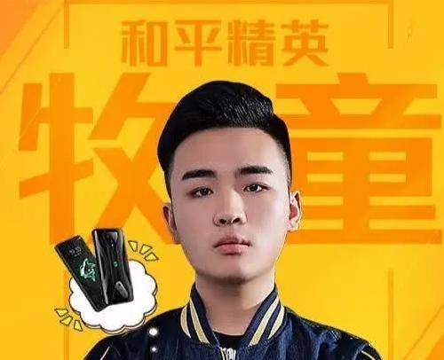 和平精英牧童个人资料复制