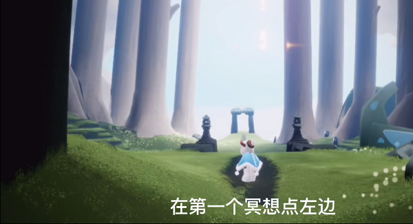 光遇雨林小树苗位置在哪