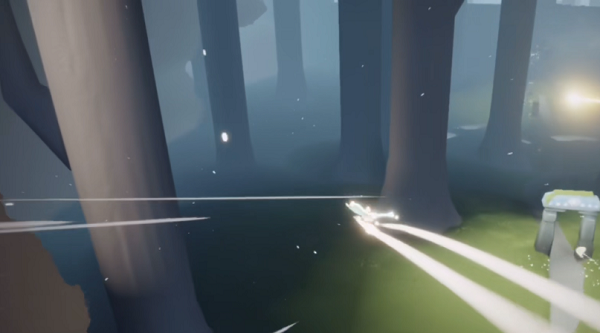 光遇雨林小树苗位置在哪