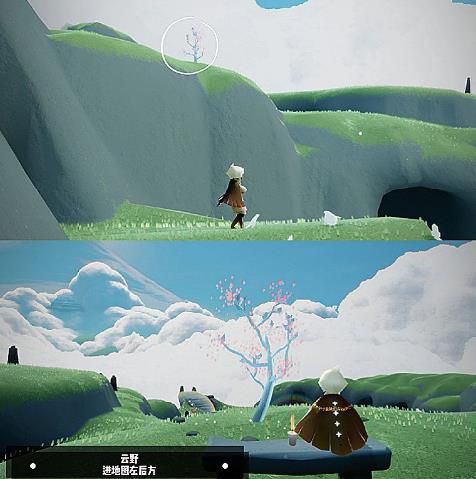 光遇花憩节小树苗在哪