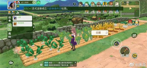 小森生活组队玩法攻略