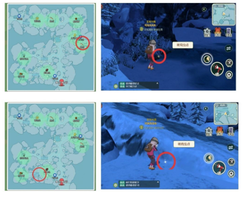 小森生活稀有虫点位置在哪