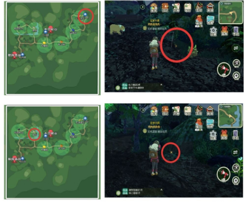 小森生活稀有虫点位置在哪