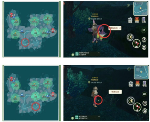 小森生活稀有虫点位置在哪