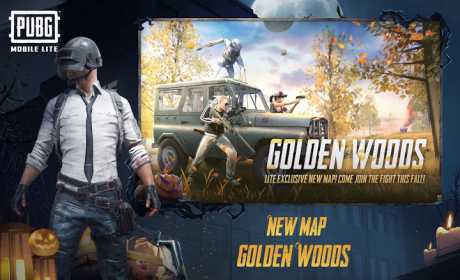 绝地求生国际服0.21.0