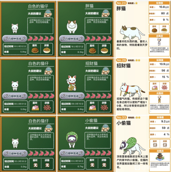 猫猫咖啡屋流浪猫喜欢吃什么食物