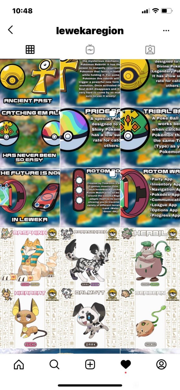 精灵宝可梦order chaos截图1