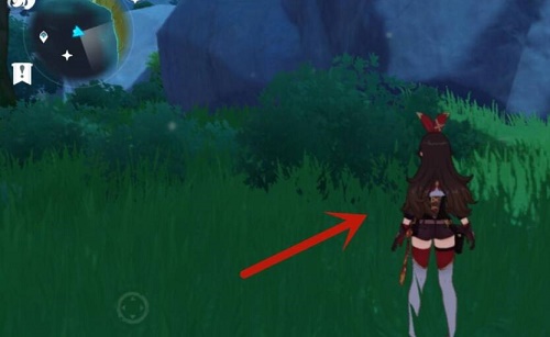 原神壶灵阿嘟位置在哪