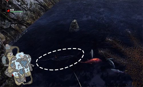 怪物猎人崛起旗鱼在哪里钓