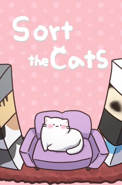 猫猫喜欢沙发