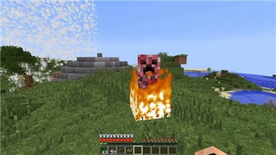 我的世界1.17.10.20截图2