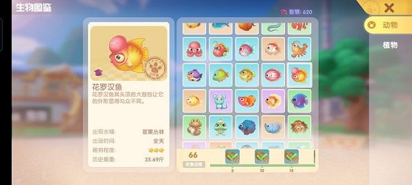 摩尔庄园手游花罗汉鱼在哪钓