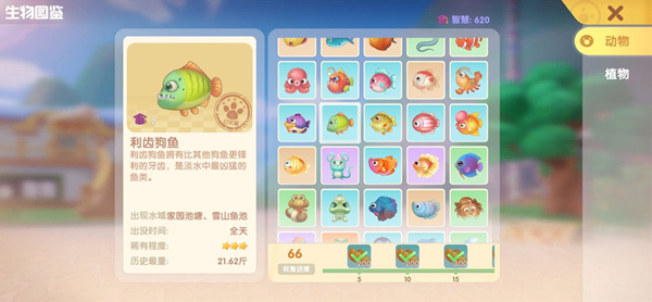 摩尔庄园手游利齿狗鱼在哪钓