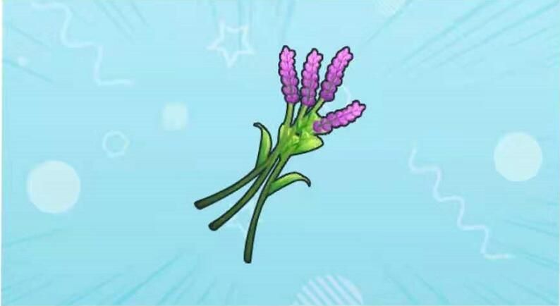 摩尔庄园手游薰衣草种子怎么获得