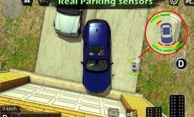 真实停车场警灯版截图1