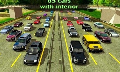 真实停车场警灯版截图2