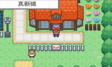 口袋妖怪口袋暴龙修复版截图3