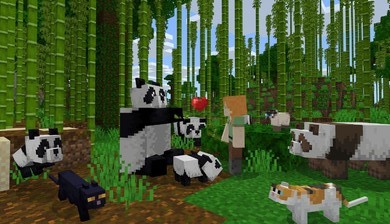 我的世界1.17.2.01截图4