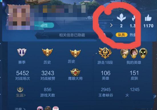 王者荣耀s24赛季个人主页送花介绍