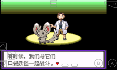 口袋妖怪漆黑的魅影正版截图2