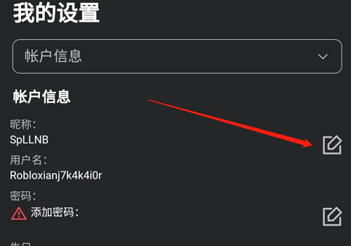 罗布乐思改名字方法