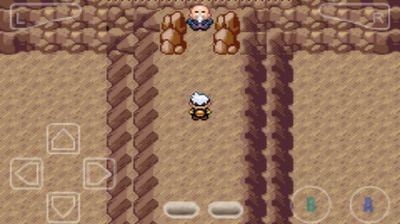 口袋妖怪究极智娜1.8截图2