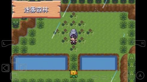 口袋妖怪仲夏夜之梦截图1