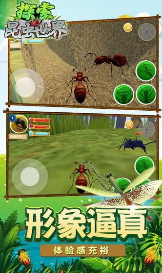 昆虫世界生存指南截图2