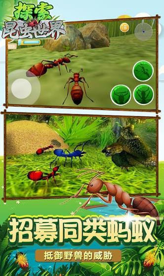 昆虫世界生存指南截图1