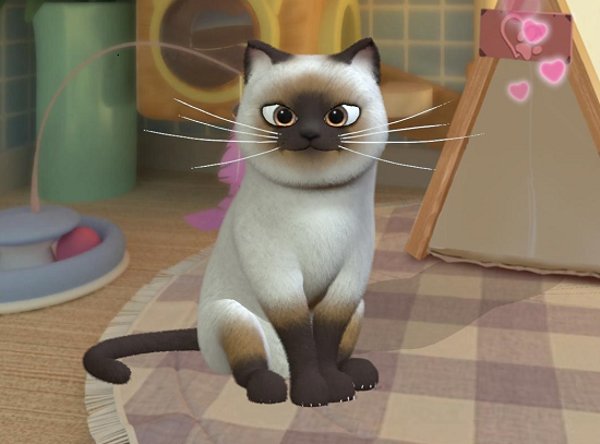 时光公主照料猫咪攻略