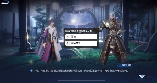 王者荣耀花塔位置大全