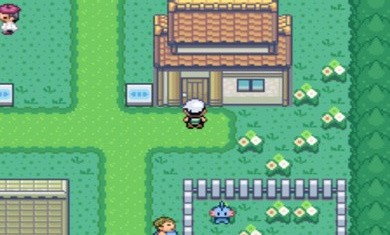 口袋妖怪究极绿宝石随机精灵截图3