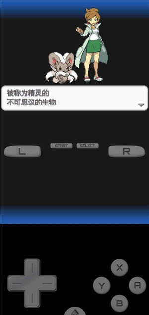 口袋妖怪黑白2全随机安卓截图3