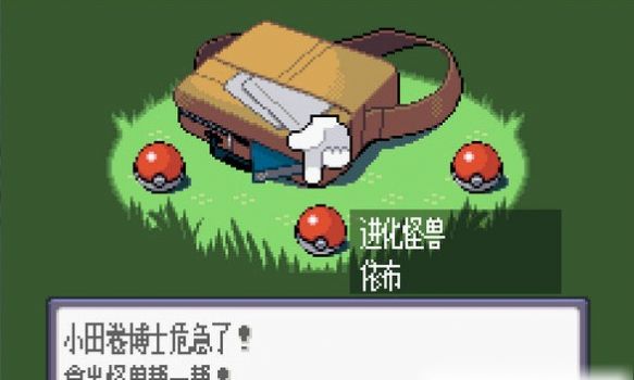 精灵宝可梦幻之宝石全随机版