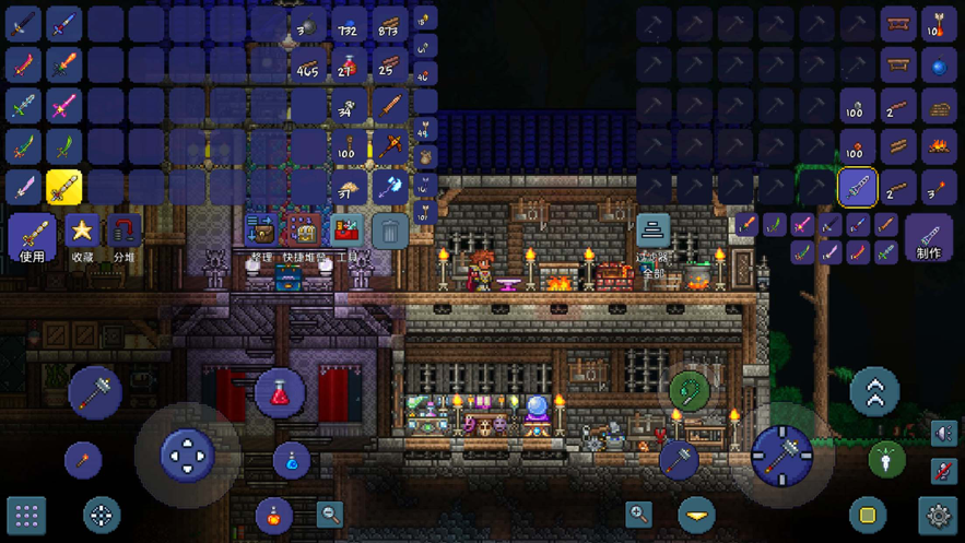 泰拉瑞亚豪华房子存档截图2