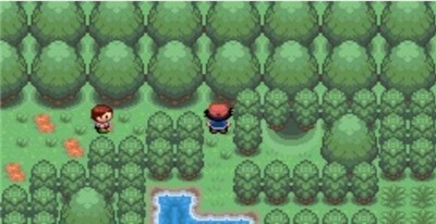 口袋妖怪究极红宝石721困难版截图2