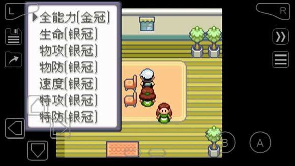 究极绿宝石5第八世代截图3