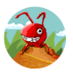 口袋蚂蚁