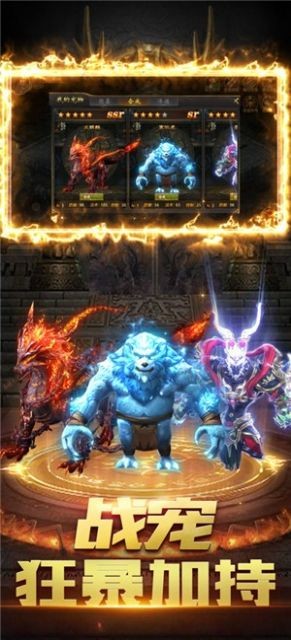 霸业无双龙魂之怒截图3