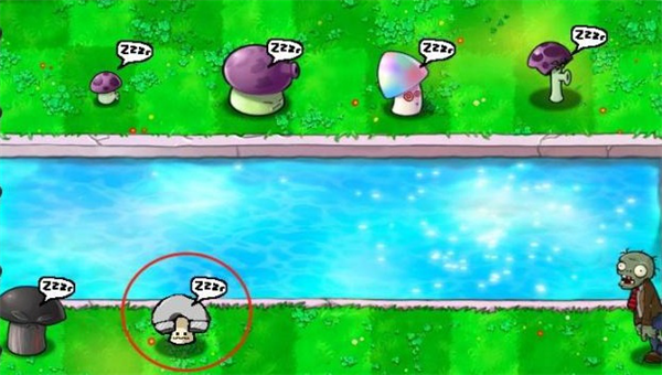 植物大战僵尸内测植物截图5