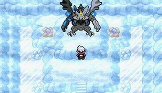 口袋妖怪无界2.02截图1