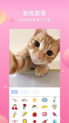 neon霓虹相机截图3