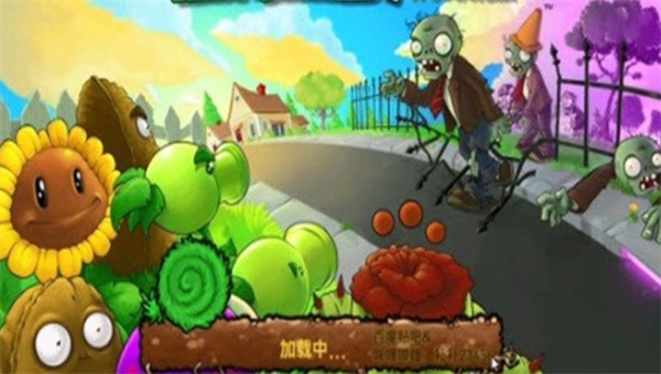 pvzhy6