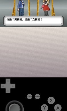 精灵宝可梦X最终版截图4