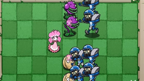 pvzbt美人樱截图3