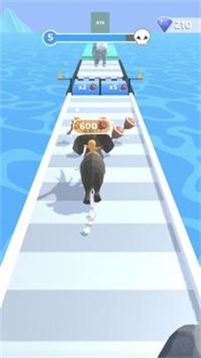 动物进化竞赛截图2