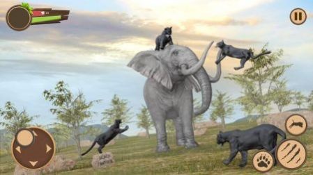 黑色美洲豹截图2